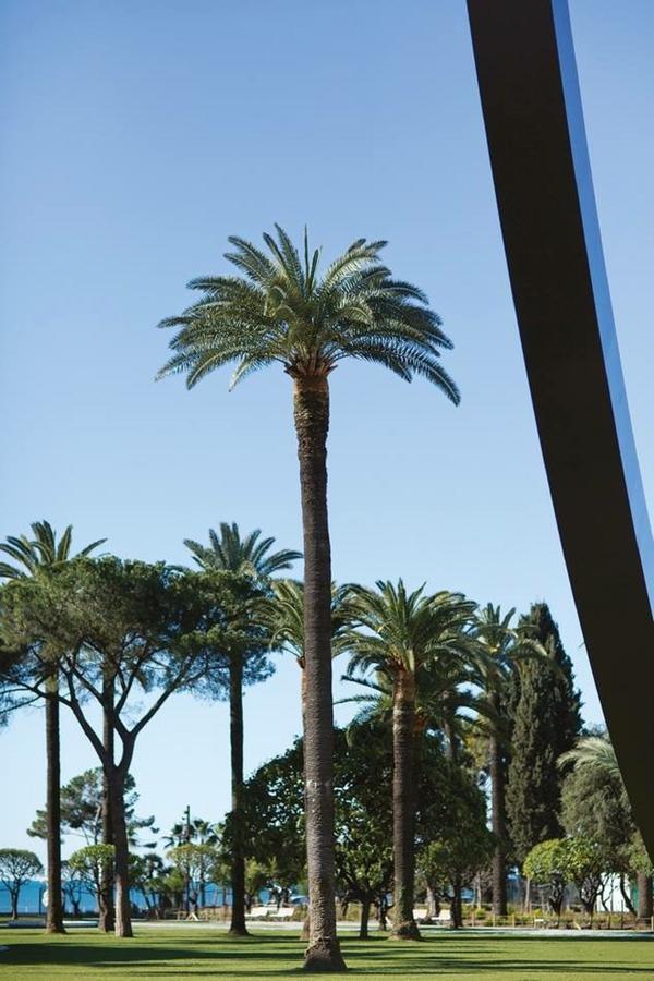 Centrale 2 - F4 Spacieux Et Confortable Au Centre Du Vieux-Nice Apartment ภายนอก รูปภาพ